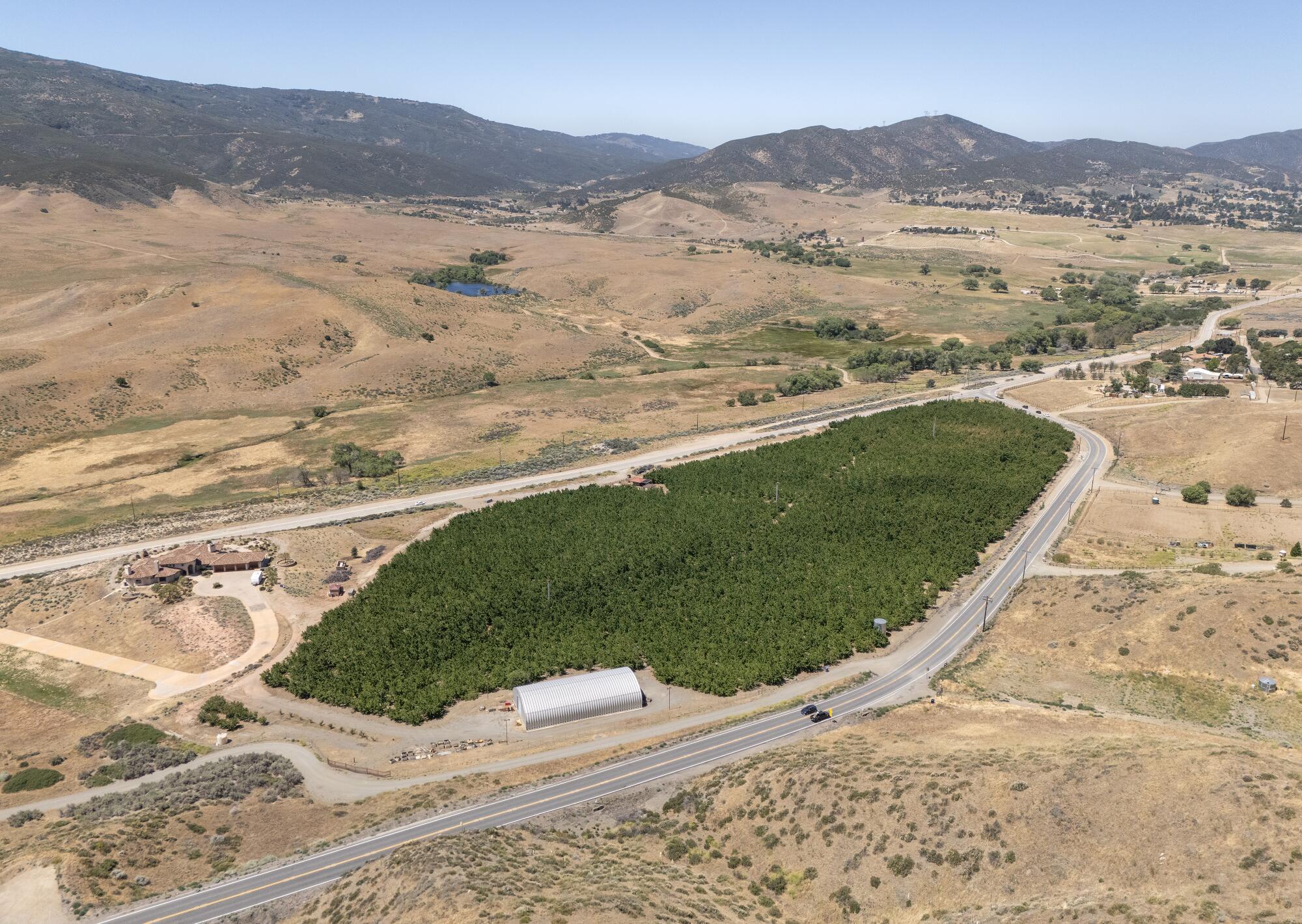 Vue plongeante sur une large bande de verdure dans un paysage brun 