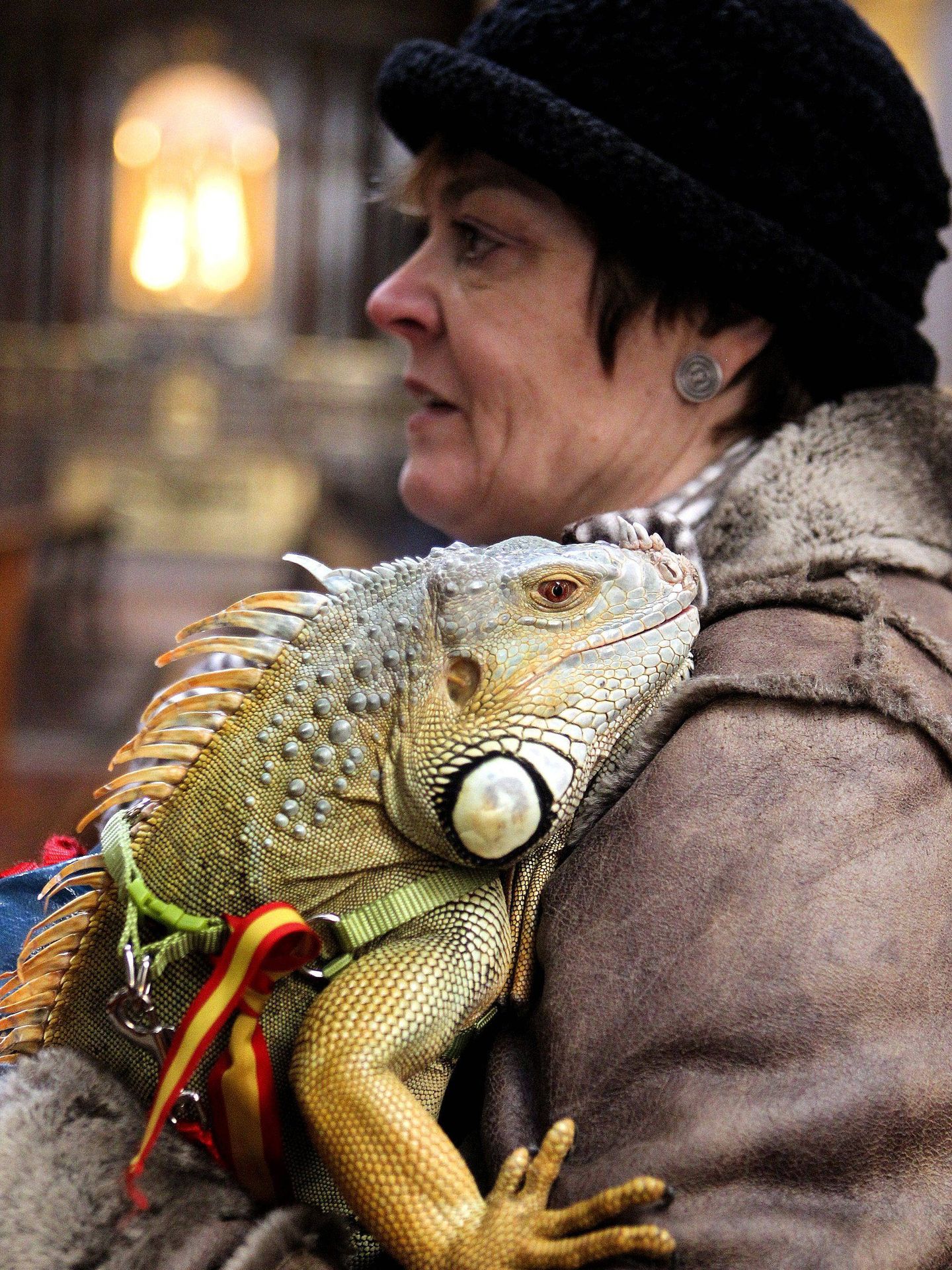 Une femme et son iguane. (EFE/Javier Cebollada)