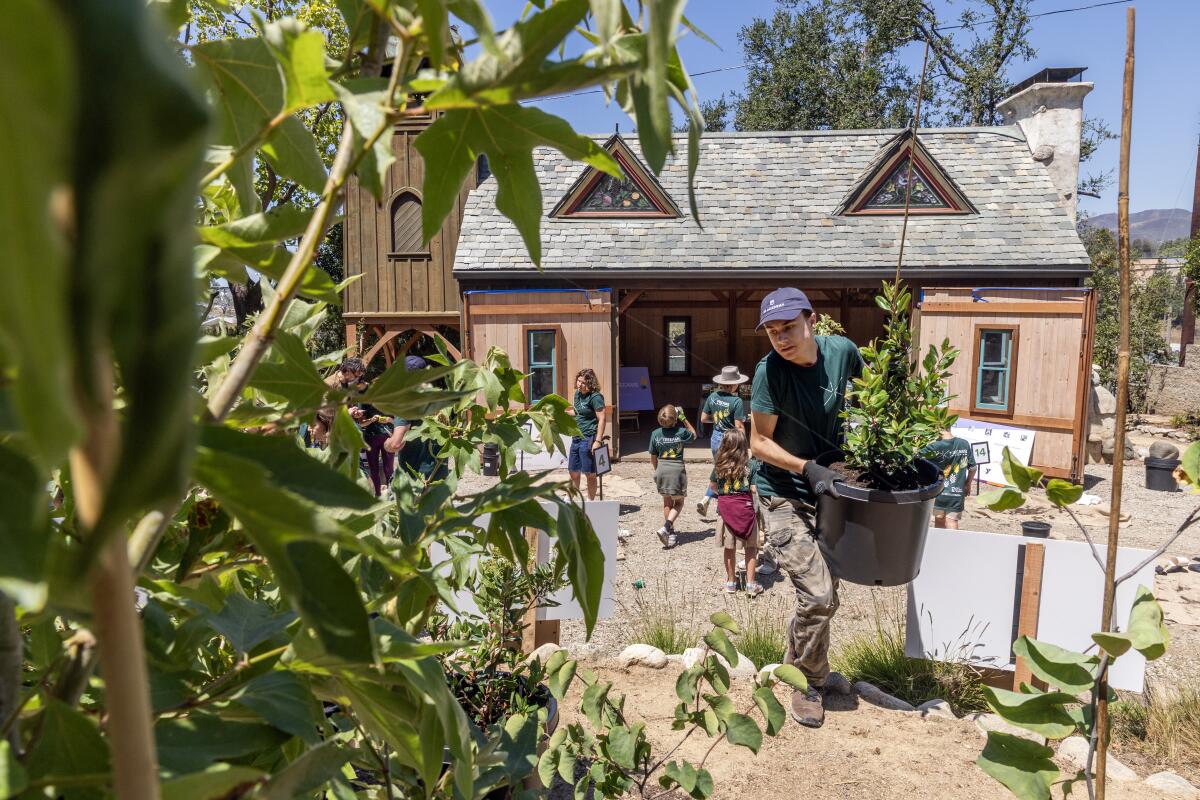 Solomon Levy, élève de 10e année à l'EF Academy de Pasadena, porte un arbre planté lors du lancement de la pépinière TREEAMS.