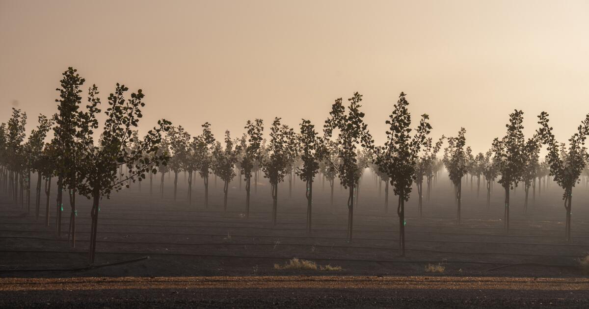 Certains agriculteurs doivent désormais déclarer la quantité d'eau qu'ils pompent.