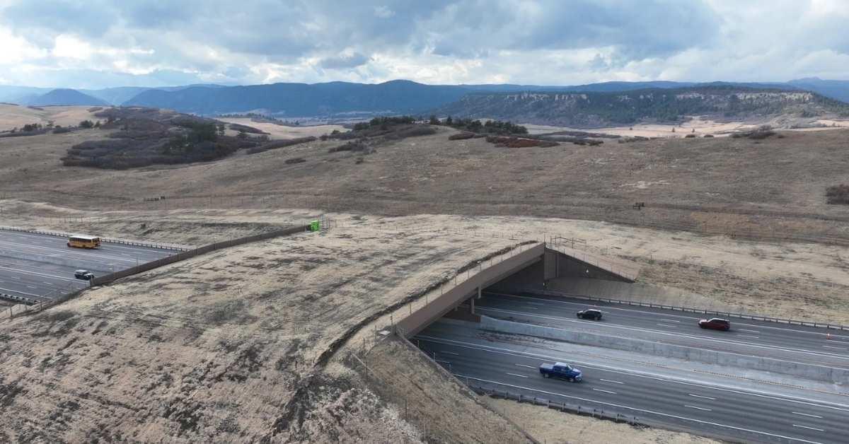 Le pont, avant d'être recouvert de végétation naturelle
