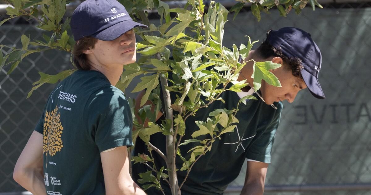 Inspirés par Jane Goodall, des étudiants construisent des pépinières pour reboiser les communautés ravagées par le feu de Los Angeles