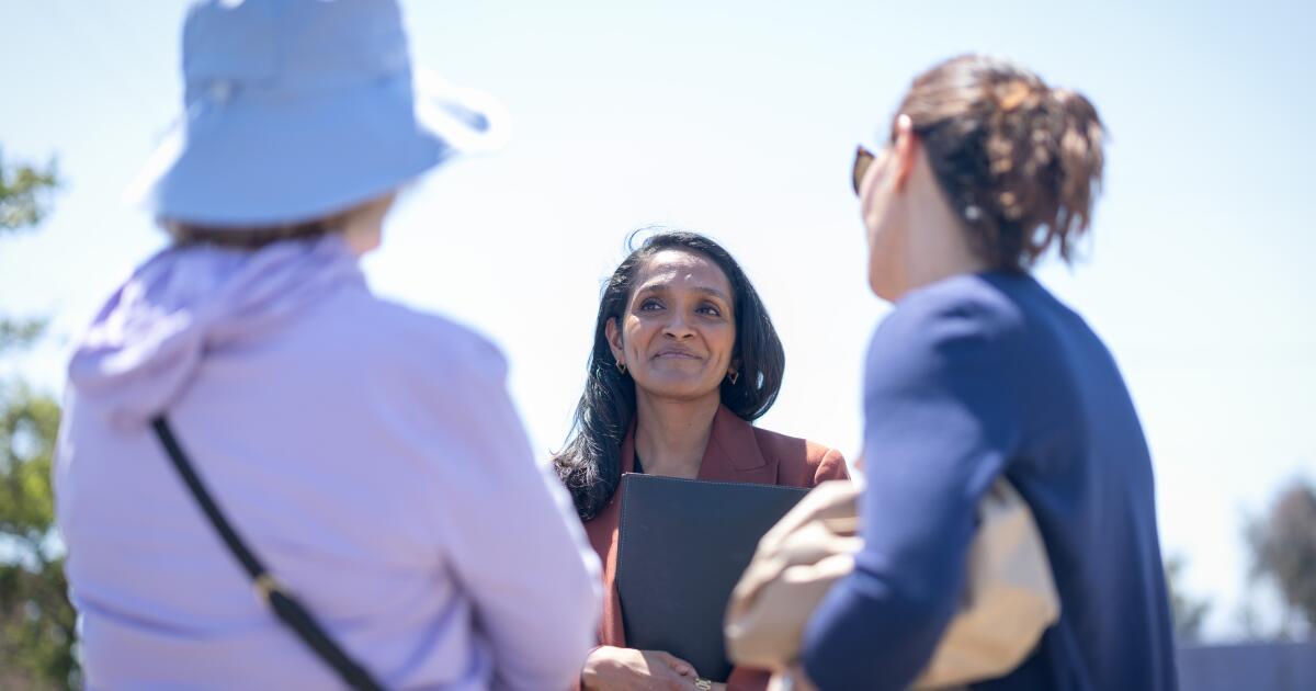 Le candidat à la mairie, Raman, dévoile le plan de reconstruction de Pacific Palisades
