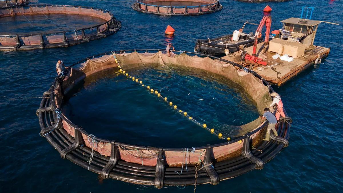 Image d'une piscine