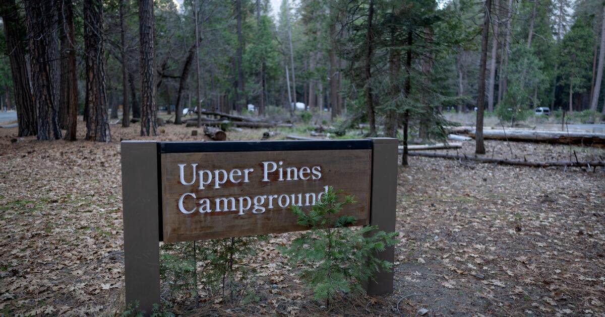 Pourquoi une réorganisation majeure du Service forestier inquiète les gens