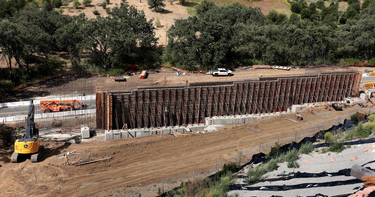 Six passages pour la faune arrivent en Californie du Sud
