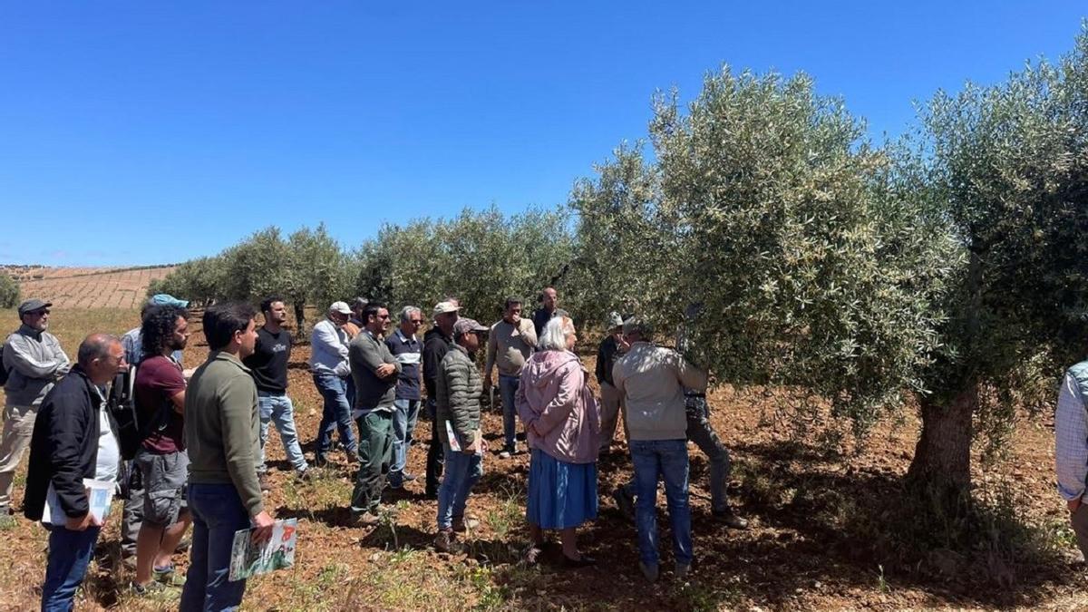 El programa de formación sobre agricultura ecológica se ha desarrollado en nueve comunidades autónomas