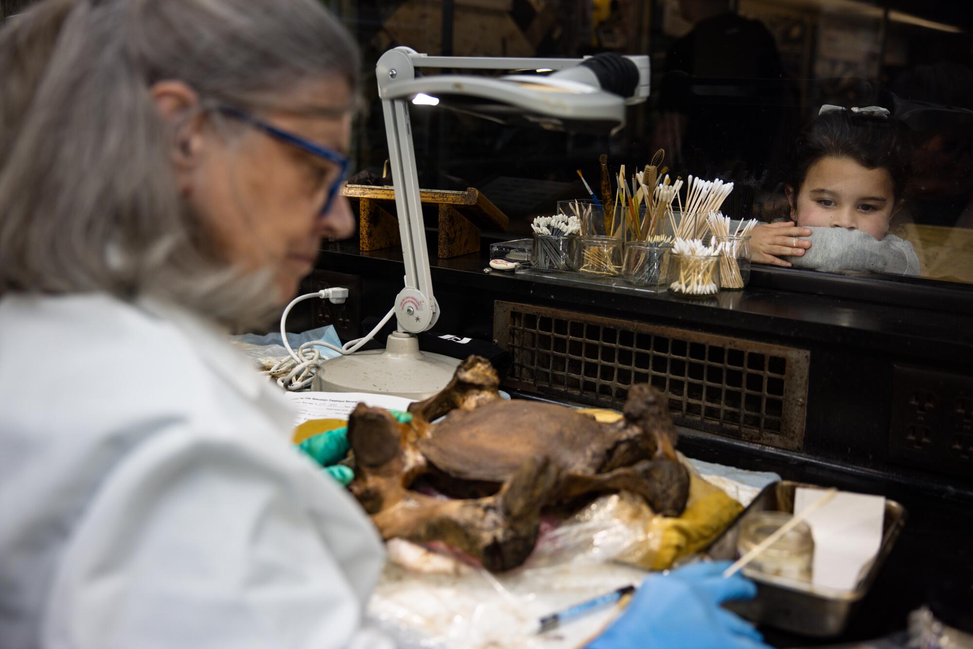 Une femme en blouse blanche examine un fossile pendant qu’un enfant le regarde.