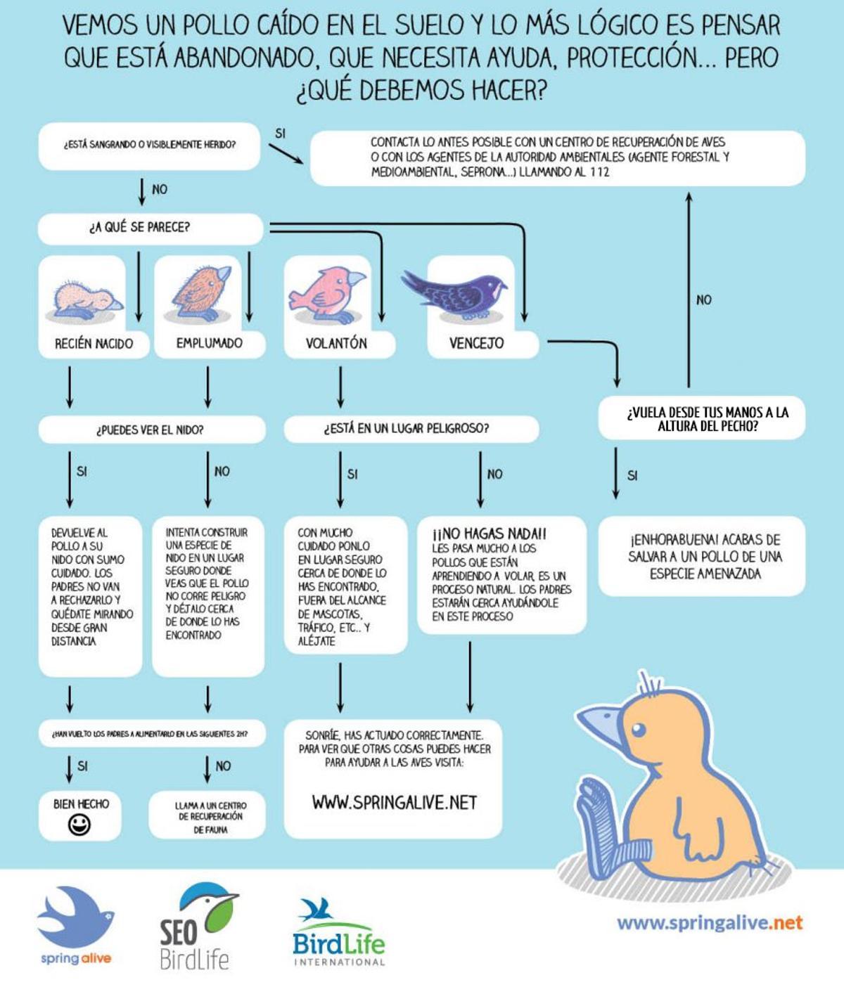 Procédure pour suivre le cas
