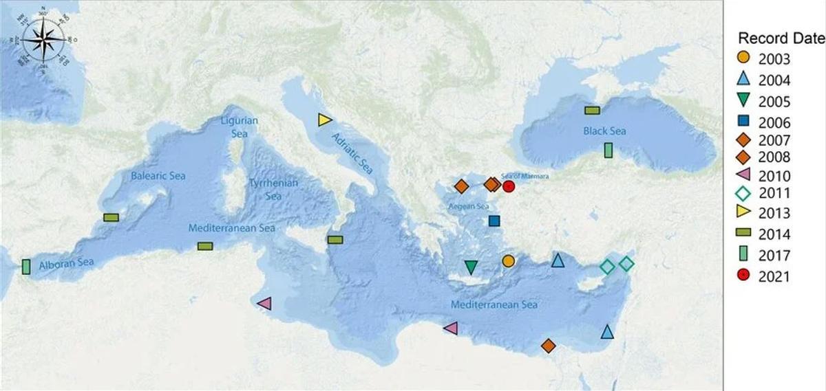 Détections d'espèces en Méditerranée dans les dernières années