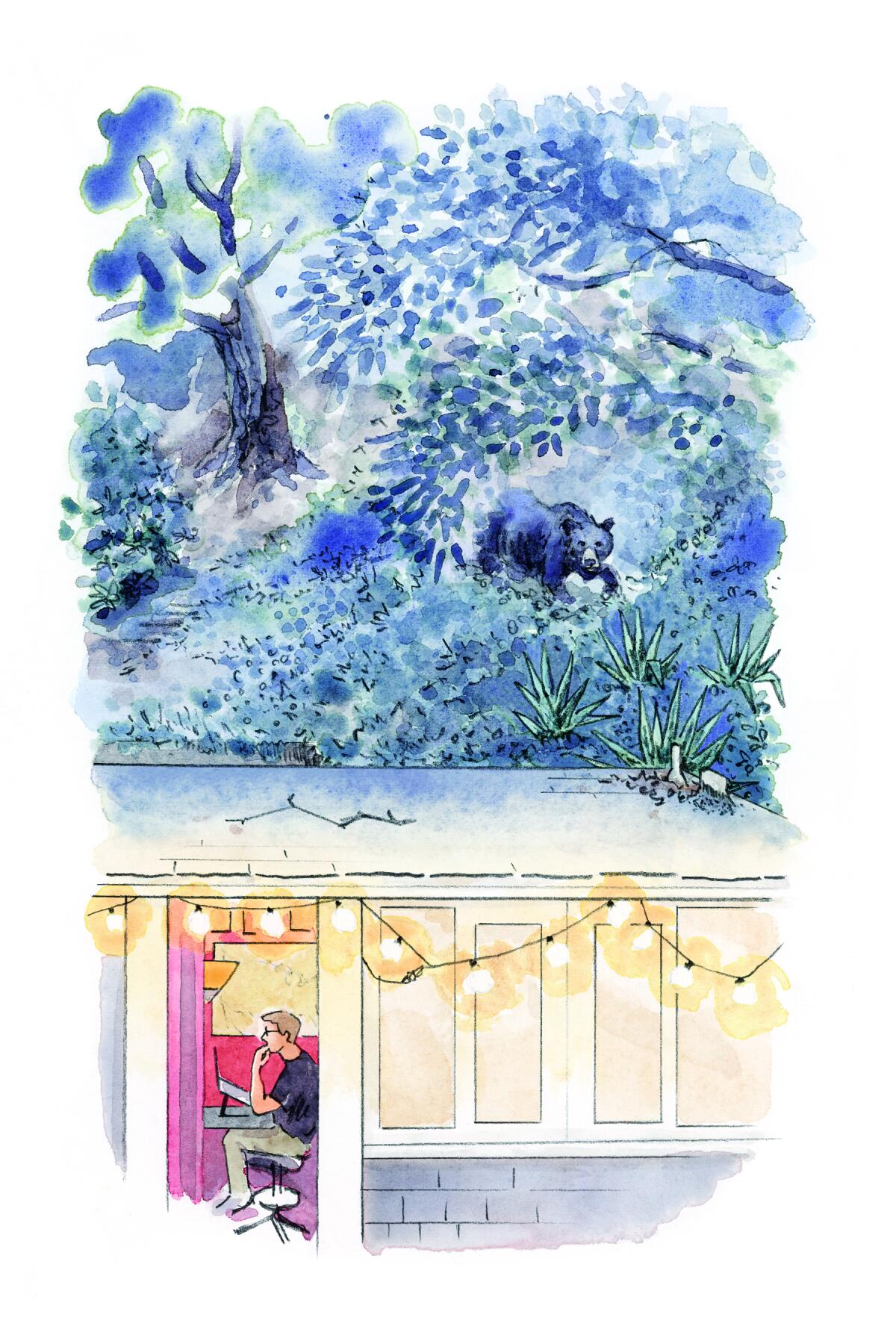 Une illustration pour "Nations cachées" représente l'auteur Huling chez lui, entouré par l'environnement naturel.
