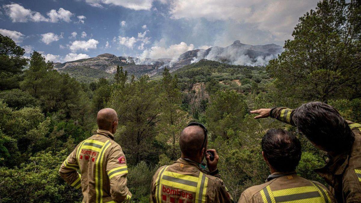Efficaces de bomberos sur l'incendio de Paüls.