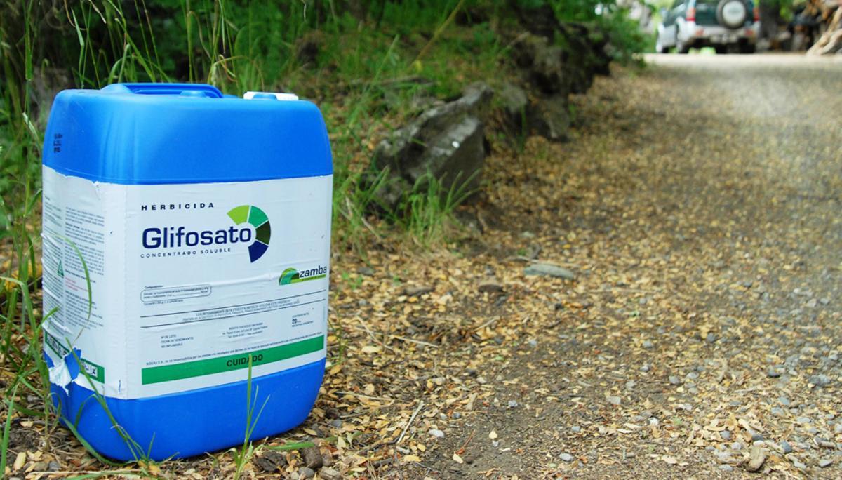 Le glifosato est le principal ingrédient du Roundup