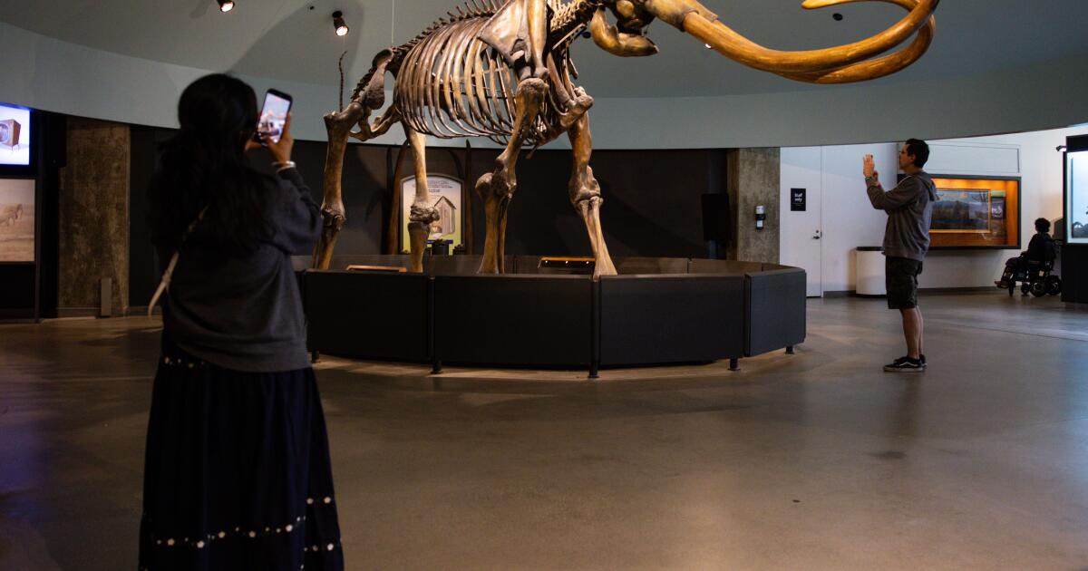 Adieu, mon Smilodon : La Brea Tar Pits fermera ses portes pendant deux ans