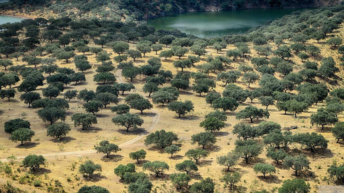 Image d'un paysage méditerranéen