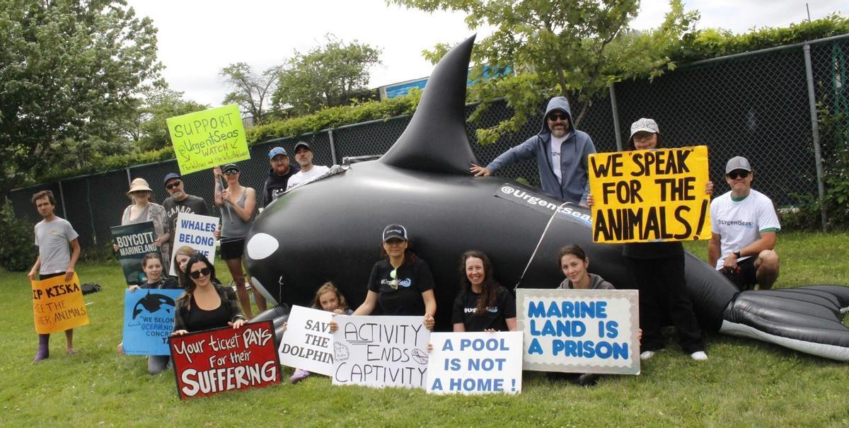 Protestations citoyennes en faveur de la libération des animaux de Marineland