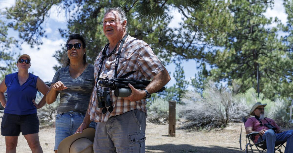 Le champion des aigles célèbres de Big Bear quitte une mission de 10 millions de dollars