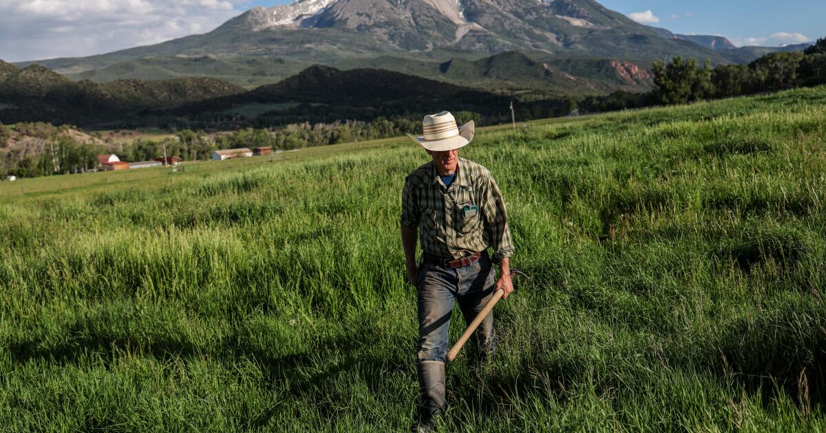 Le fleuve Colorado s'assèche, aggravant la crise de l'eau dans le sud-ouest