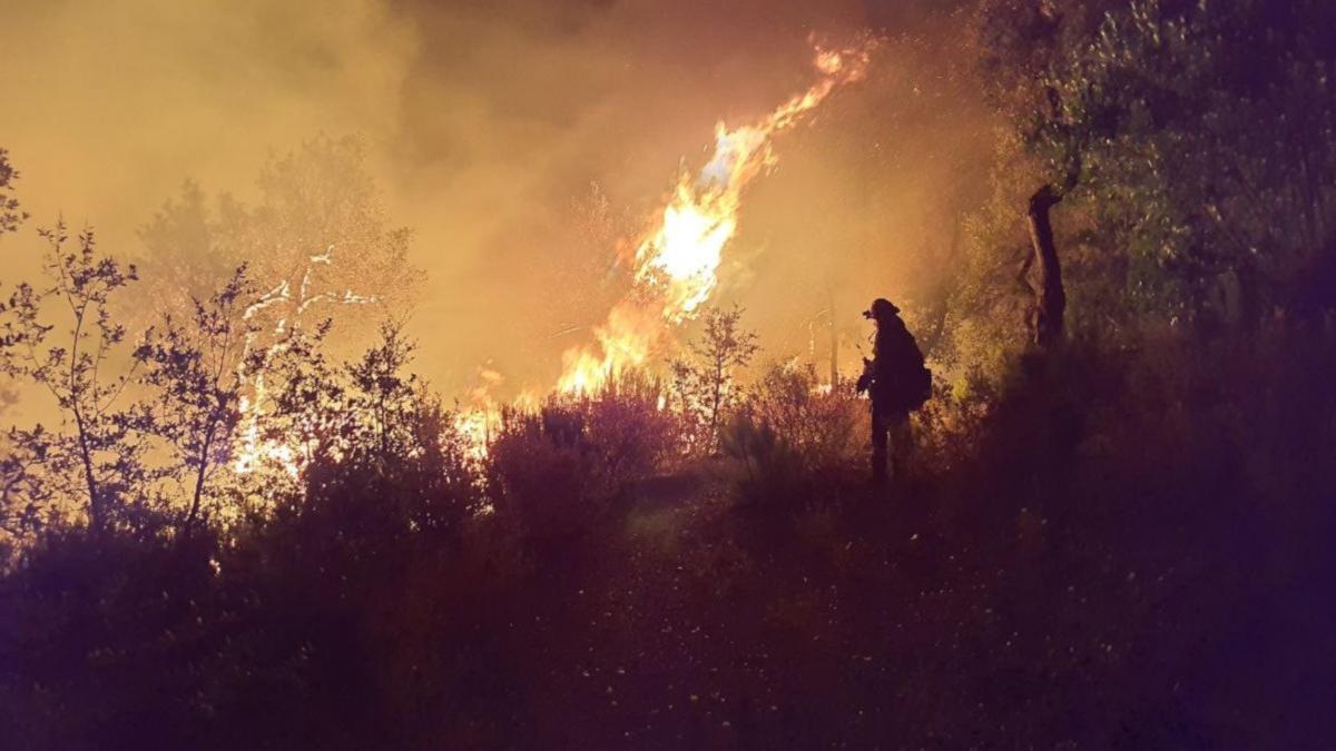 Un incendie déclaré en 2022 dans le massif des Gavarres.