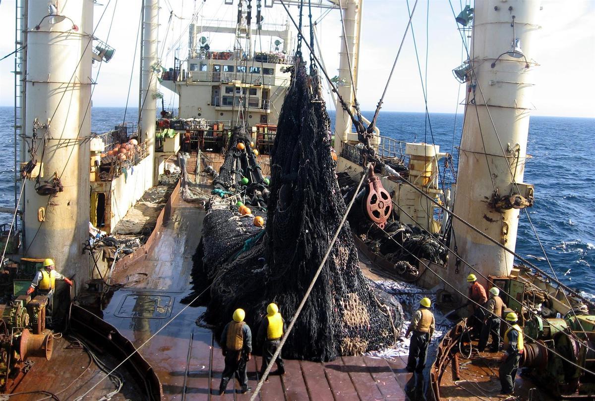 La pêche en UE est entièrement subvencionada, destaca el informa