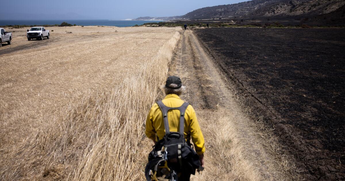 Un incendie a ravagé une île vierge de Californie. Est-ce que ça va récupérer ?