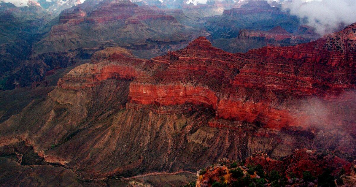 Une chaleur extrême est à nouveau attendue au Grand Canyon après la mort de 3 randonneurs dans des incidents liés à la chaleur