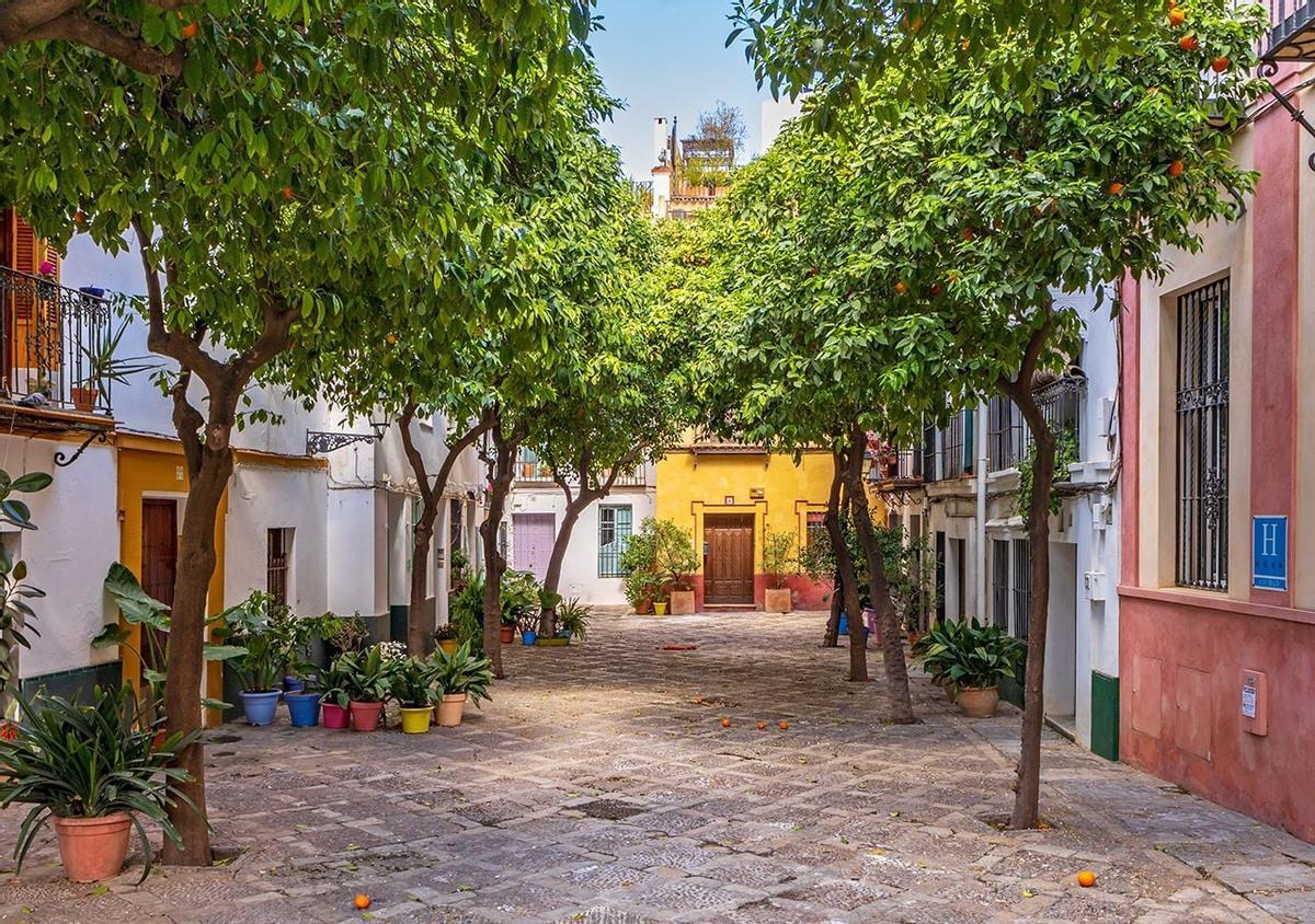 Calle andaluza avec naranjos