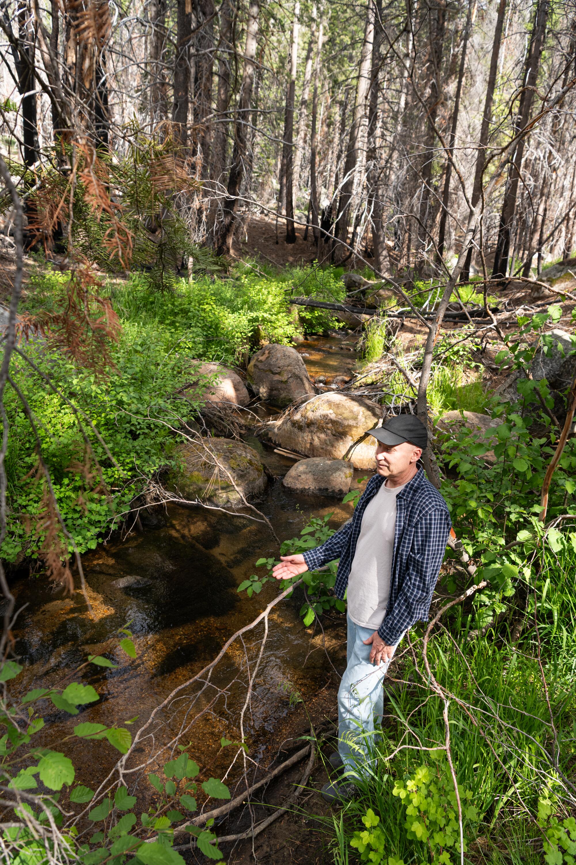 Reid Reichardt se tient à côté de Saxon Creek, dans la zone des cicatrices du feu de Caldor, près de South Lake Tahoe.