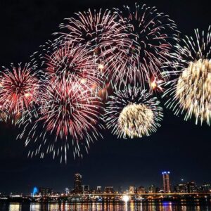 PETARDOS ET ANIMAUX | Los animales no son amigos de los fuegos artificiales: estos son los impactos que causan en la faune