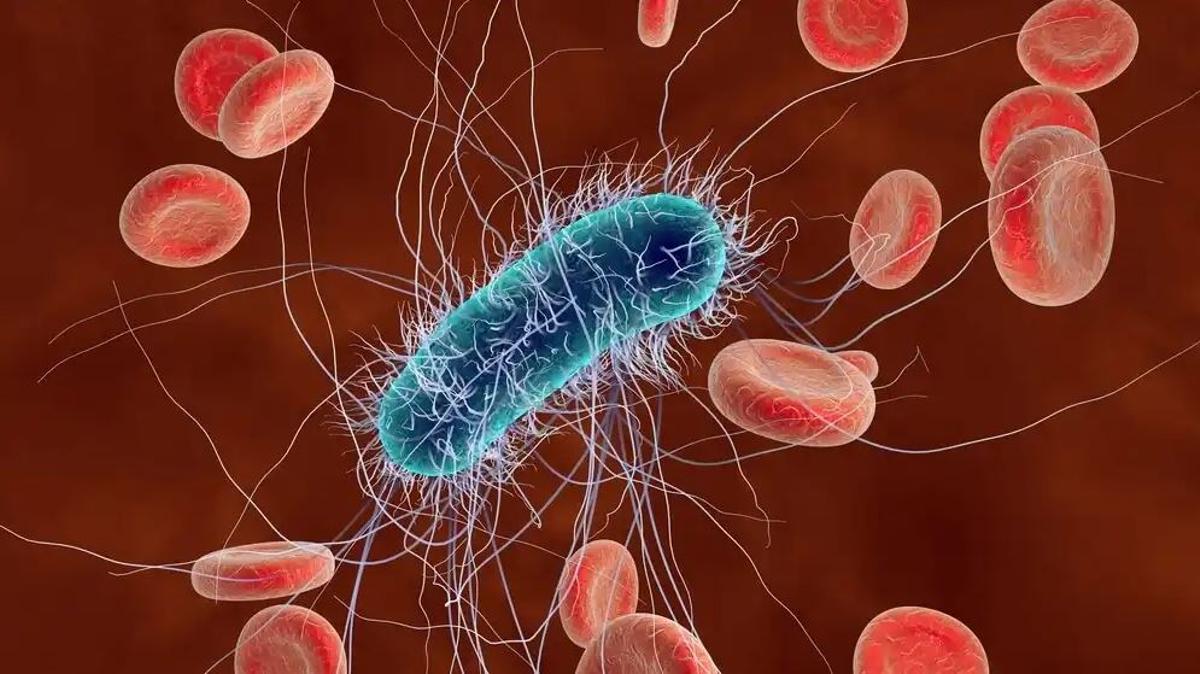 Les essais en laboratoire ont abouti à des résultats inquiets