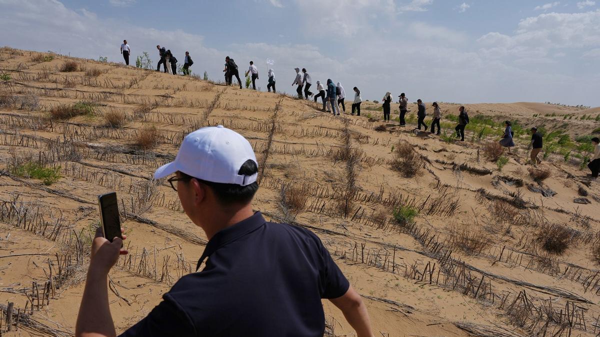 Trabajadores chinos participando en el proyecto de reforestación