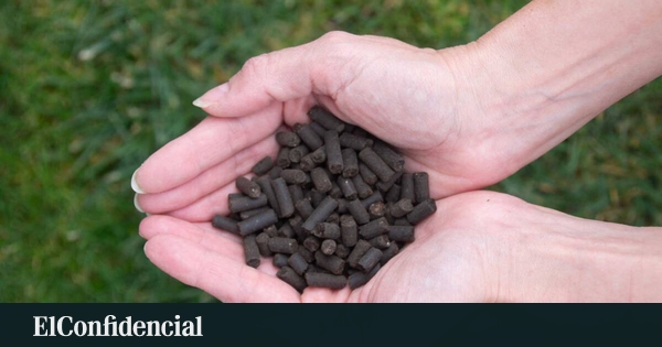 40 usines pour transformer le lisier en gaz et en engrais : le projet d'Ence de produire en Espagne ce que la campagne importe