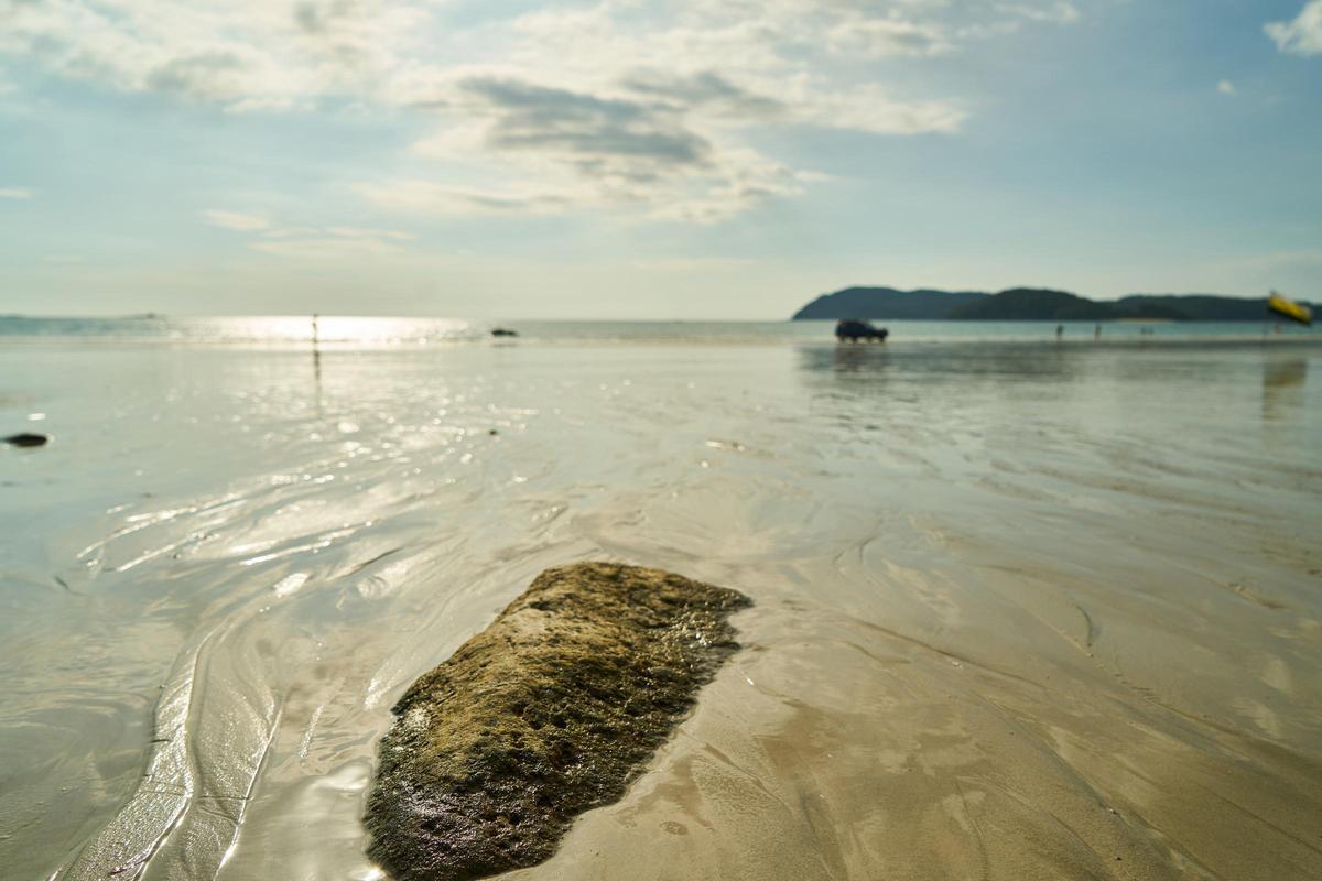plage de rivage avec des rochers