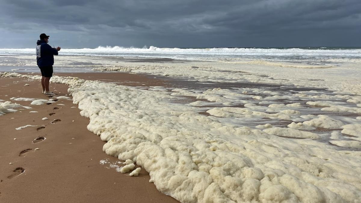 L'apparition d'une mystérieuse espuma fut le premier signal de la mort