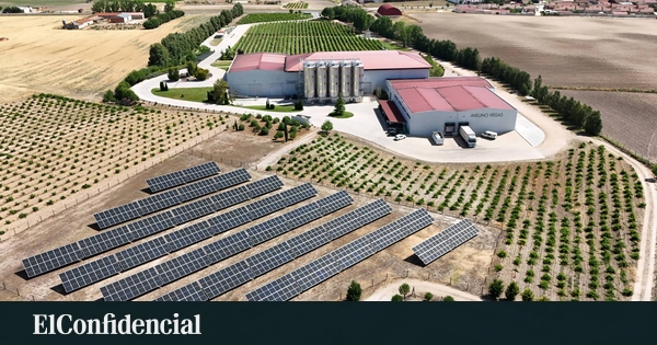 Avelino Vegas élabore désormais tous ses vins avec 100% d'énergie renouvelable