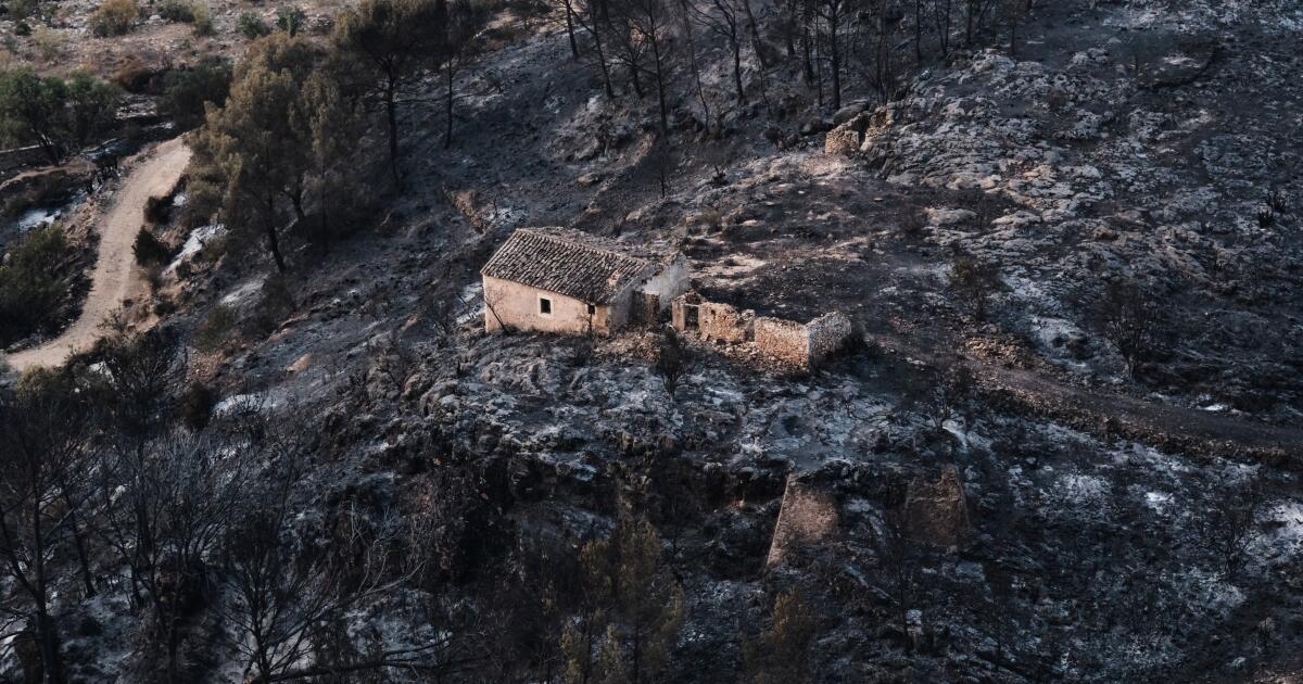 Des centaines de pompiers luttent contre un incendie de forêt dans le sud de l'Espagne qui a fait au moins 12 morts