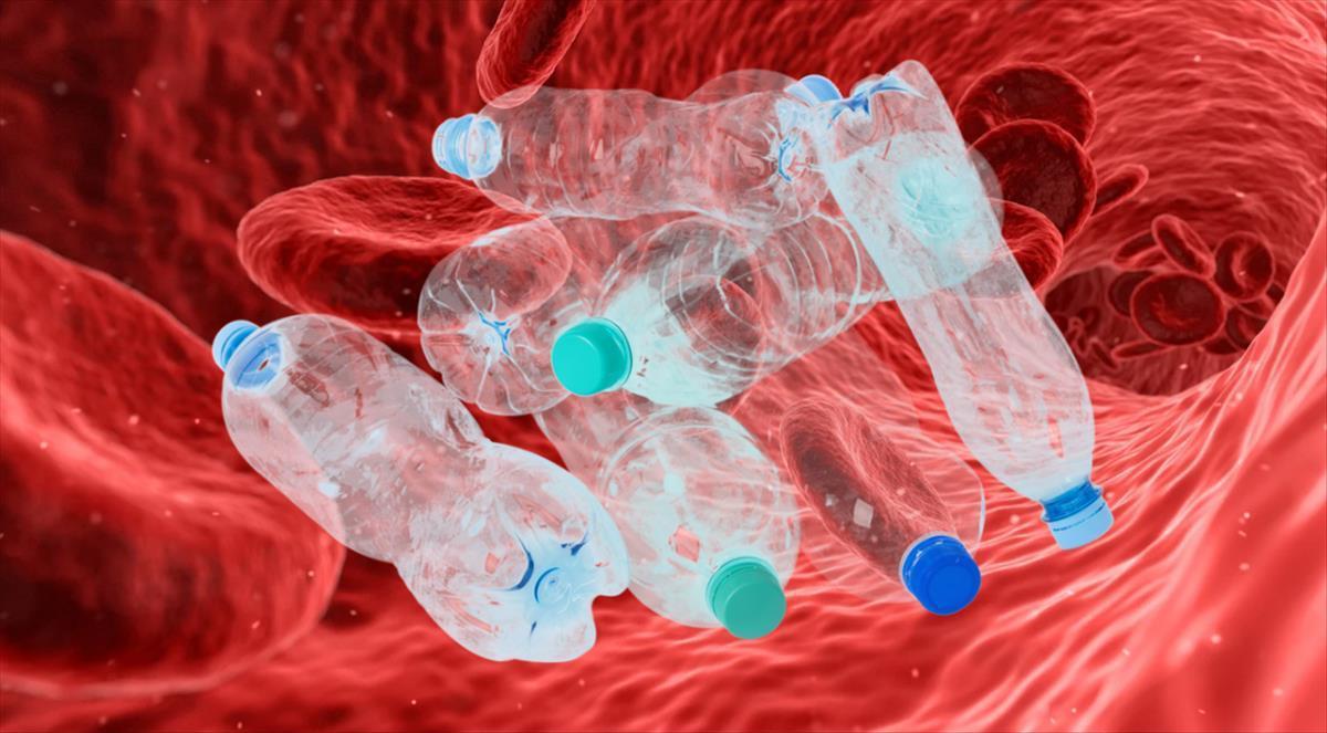 Le plastique est présent dans le torrent sanguin et dans de nombreux organes vitaux