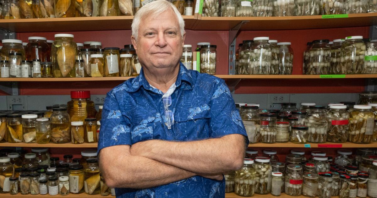 Un biologiste marin et défenseur de l'environnement américain abattu aux Philippines