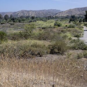 Une entreprise japonaise parie sur la technologie de l'eau extraite de l'air pour aider les régions de Californie qui manquent d'eau