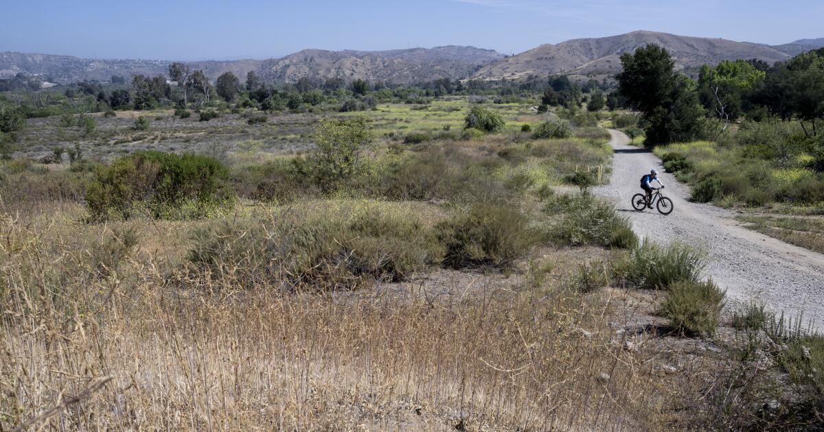 Une entreprise japonaise parie sur la technologie de l'eau extraite de l'air pour aider les régions de Californie qui manquent d'eau