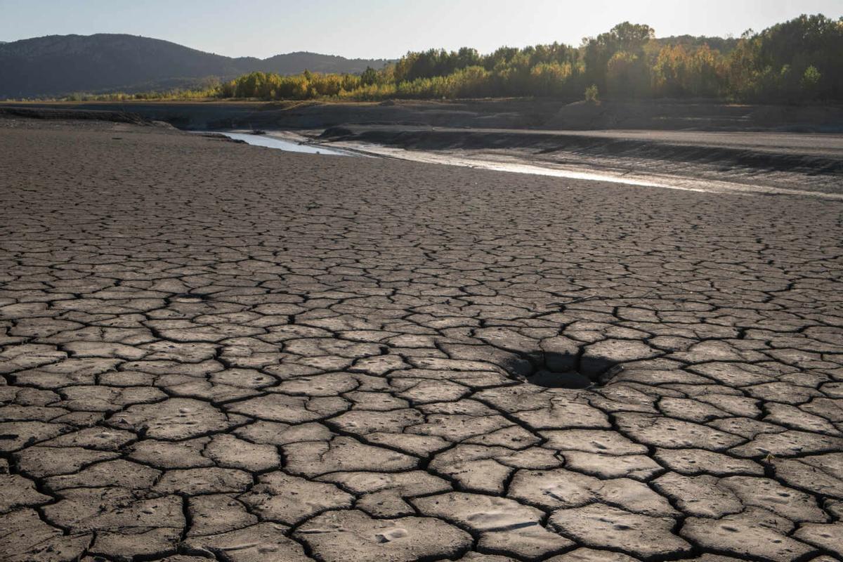 Los daños en la agricultura son cuantiosos