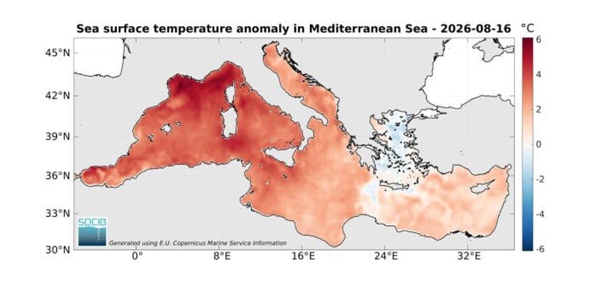 Anomalies de température en mer le 16 août, selon une autre source