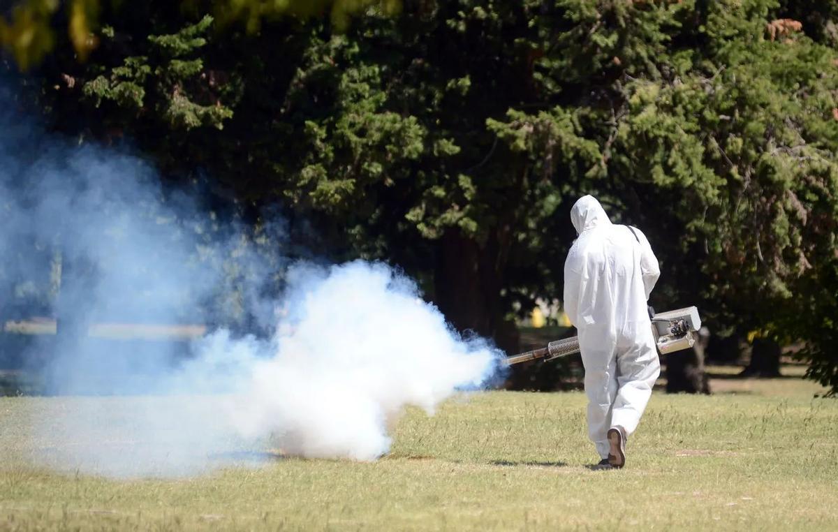 Faute de coordination entre les pays pour lutter contre la propagation des moustiques