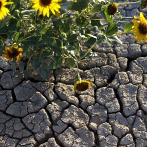 Alors que les réservoirs du fleuve Colorado diminuent, l’Arizona prévient qu’elle pourrait poursuivre en justice