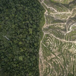 CAÍDA DEFORESTACIÓN AMAZONÍA | Amazonie brésilienne : Lula va freiner la déforestation, mais une phrase permet d'augmenter la taille massive