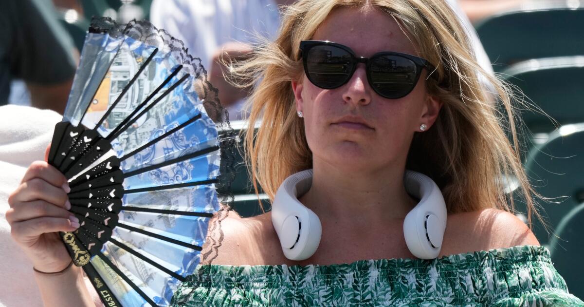 Cet été ne bat pas encore de records de chaleur. Attendez qu'El Niño fasse son apparition