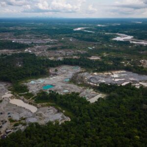 Cinq pays amazoniens arrêtent des centaines de personnes dans le cadre de la répression des crimes environnementaux