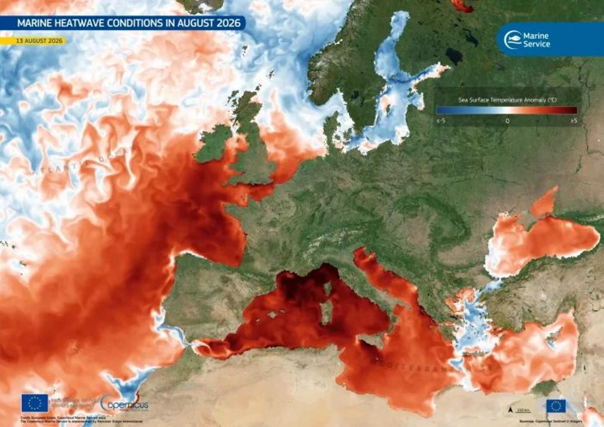 Anomalies de température dans la marina en Europe le 13 août passé ; cuanto plus obscuro plus caliente