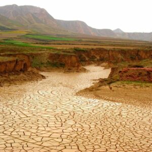 DÉGRADACIÓN SUELO | Cumbre mondial pour freiner la désertification et la dégradation du climat