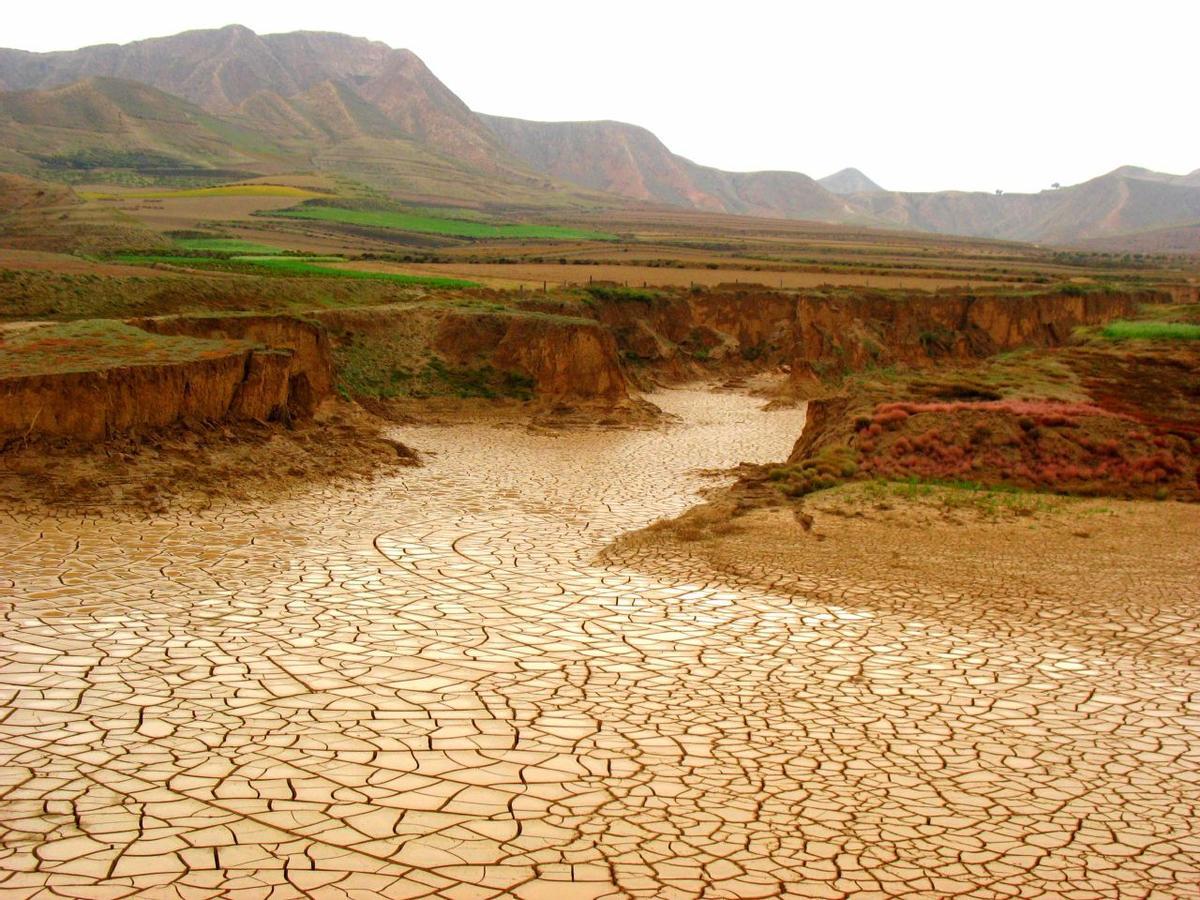 La cumbre trata de frenar la creciente désertificación